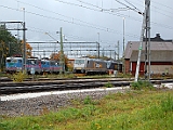 2* Green Cargo Rc2 1118-1120, Cargonet 185 620-2 samt Hector Rail BR141.003-4 Starling vid Hallsbergs Lokstation 30 September 2008