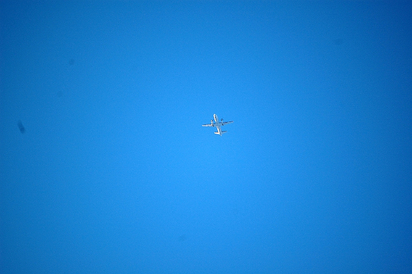 DSC_1445