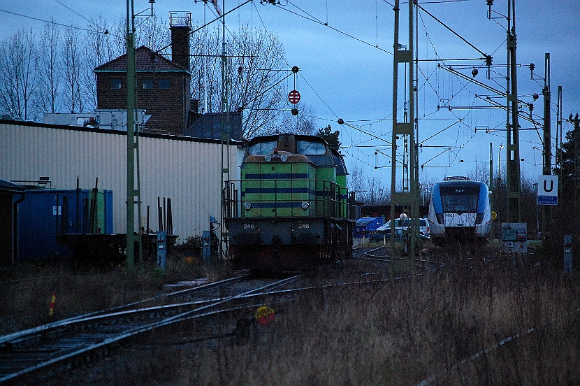 DSC_8091