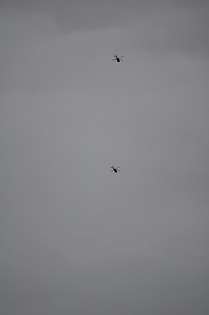 DSC_3568