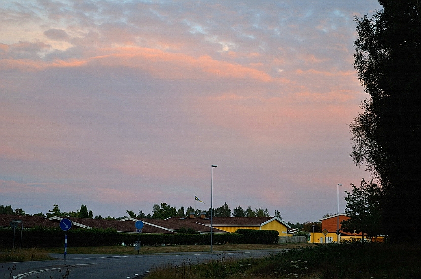 DSC_4790