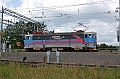 DSC_2587